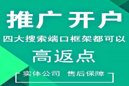 知名SEM公司案例分析：优化策略与成果